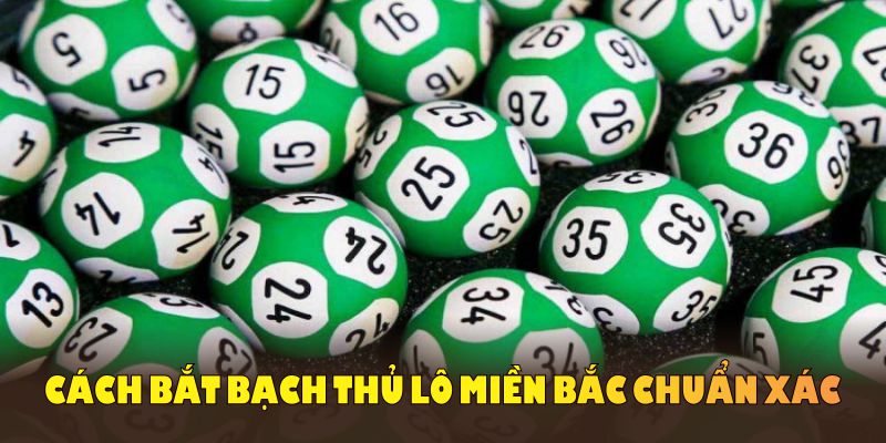 Cách bắt bạch thủ lô miền Bắc chuẩn xác và đơn giản bạn không nên bỏ lỡ